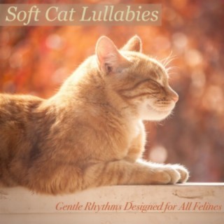 Soft Cat Lullabies: Gentle Rhythms Designed for All Felines