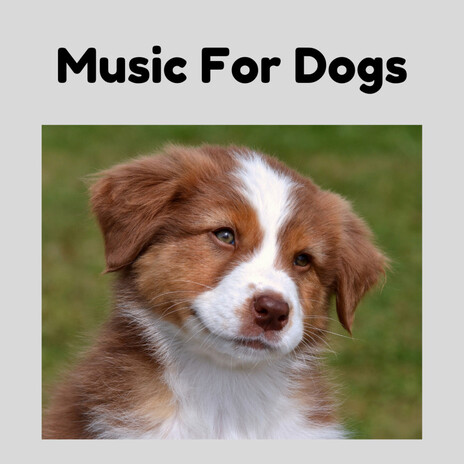 Dog Relief ft. Music For Dogs Peace, Relaxing Puppy Music & Calm Pets Music Academy | Boomplay Music