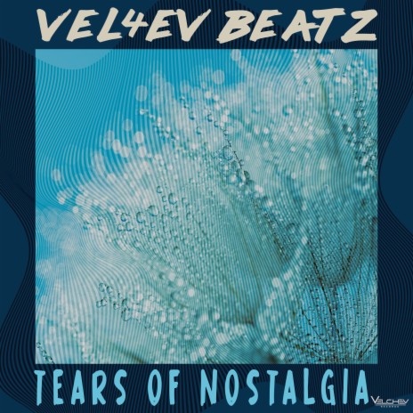 Tears of Nostalgia | Boomplay Music