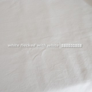 White Flecked with White