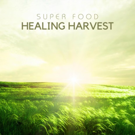 Healing Harvest | Boomplay Music