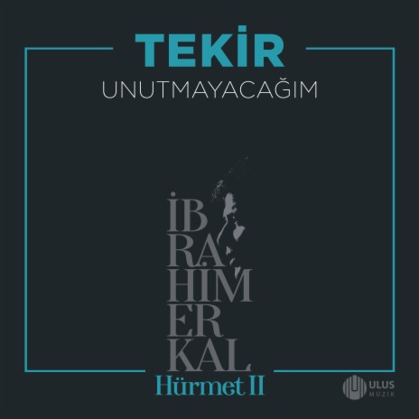 Unutmayacağım (İbrahim Erkal Hürmet 2) | Boomplay Music