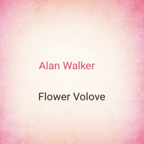 Alan Walker's Lyrics