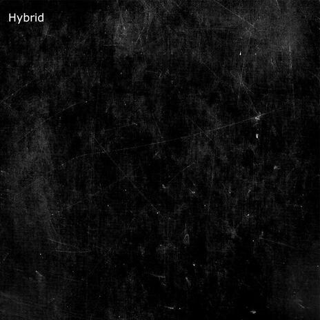 Hybrid