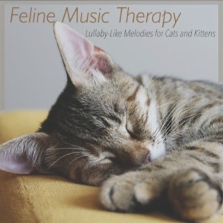 Feline Music Therapy: Lullaby-Like Melodies for Cats and Kittens