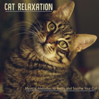 Cat Relaxation: Musical Melodies to Relax and Soothe Your Cat