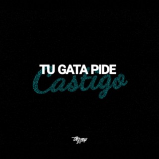 Tu gata pide cast1go