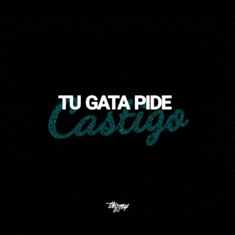 Tu gata pide cast1go | Boomplay Music