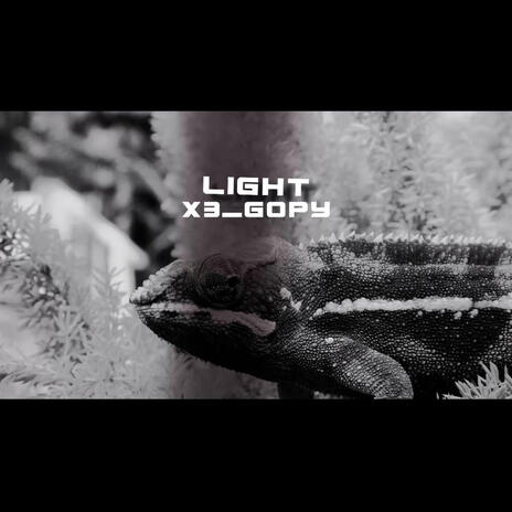 LIGHT | Boomplay Music