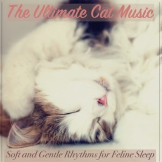 The Ultimate Cat Music : Soft and Gentle Rhythms for Feline Sleep