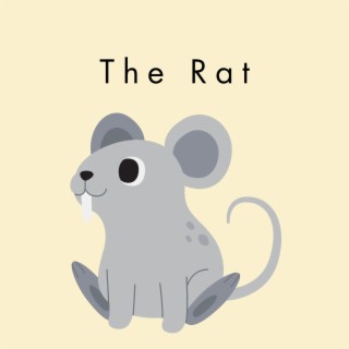 The Rat