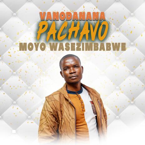 VANODANANA PACHAVO | Boomplay Music