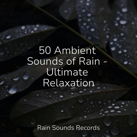 Enchanting Misty Melodies ft. Easy Sleep Music & Meeresrauschen | Boomplay Music