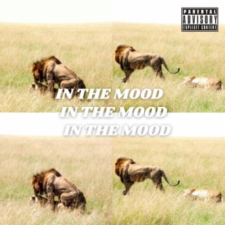 In The Mood lyrics | Boomplay Music