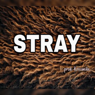 Stray Afro beat free (Amapiano pop vibe freebeat Instrumentals' beats)