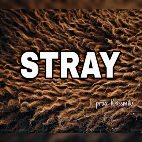 Stray Afro beat free (Amapiano pop vibe freebeat Instrumentals' beats)