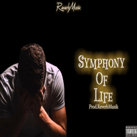 Symphony of life | Boomplay Music