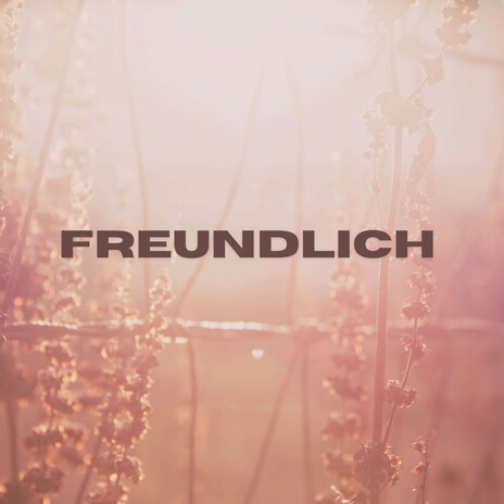 Freundlich (Pastiche/Remix/Mashup) | Boomplay Music