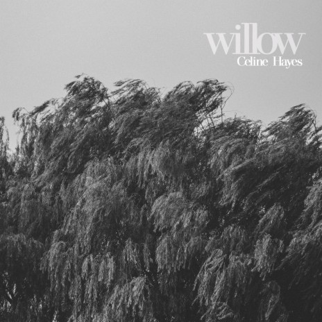 Willow | Boomplay Music