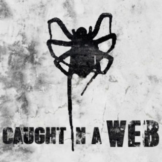 Caught in a Web