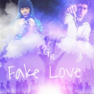 Fake Love