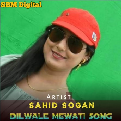 Dilwale Mewati Song