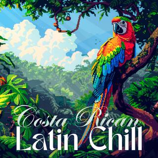 Costa Rican Latin Chill Vibes