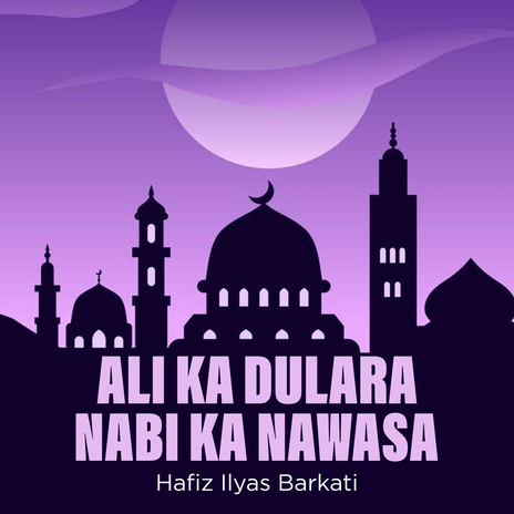 Ali Ka Dulara Nabi Ka Nawasa | Boomplay Music