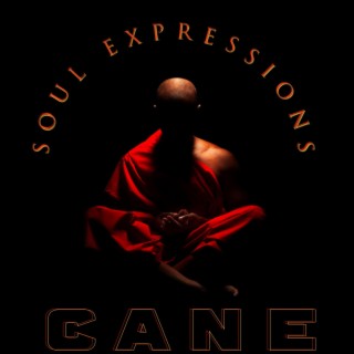 Soul Expressions