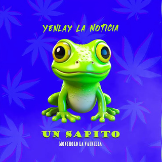 Un Sapito