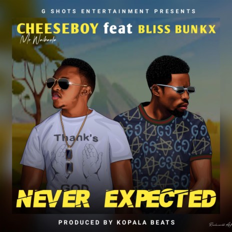 Never Expected ft. Bliss Bunkx | Boomplay Music