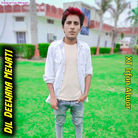 Dil Deewana Mewati | Boomplay Music