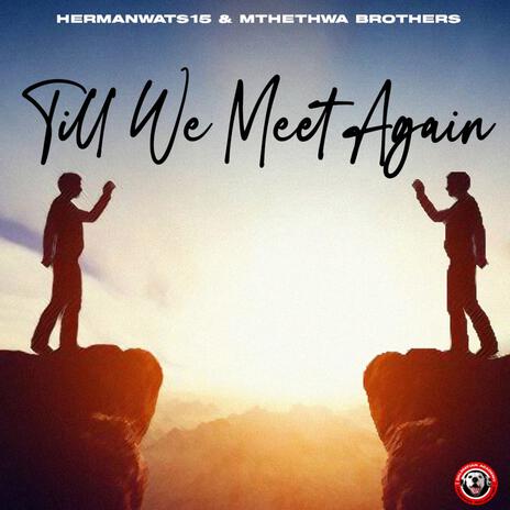 Till We Meet Again ft. Mthethwa Brothers | Boomplay Music