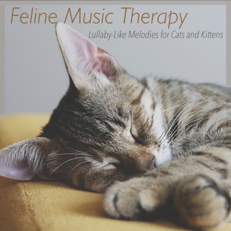 Heavenly Chorus ft. Pet Music Therapy