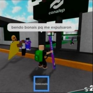 Bendo bonais