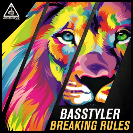 Breaking Rules (Original Mix) | Boomplay Music