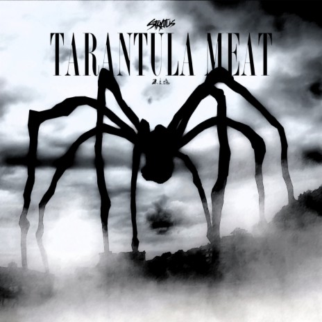 Tarantula Meat | Boomplay Music