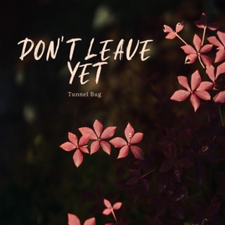 Don't Leave Yet