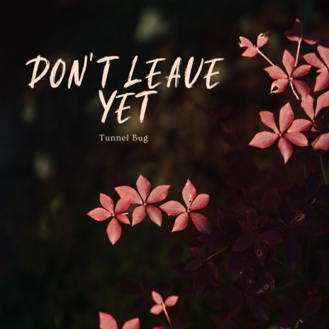 Don't Leave Yet | Boomplay Music