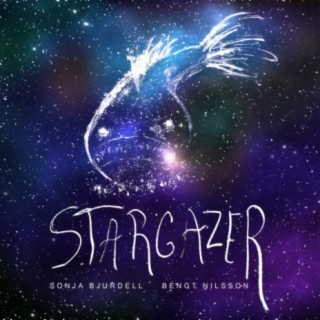 Stargazer