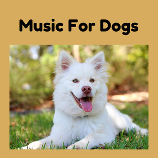 Music For Dogs