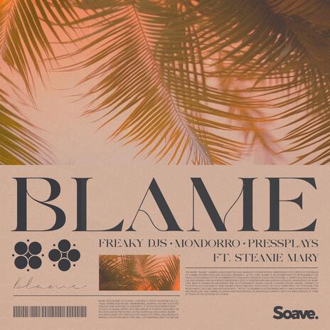 Blame (feat. Steanie Mary) | Boomplay Music