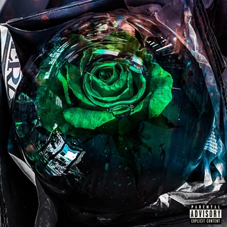 Concrete Rose (Green Light)