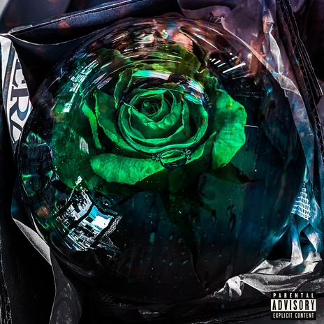 Concrete Rose (Green Light) | Boomplay Music