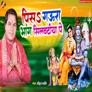 Peesa Gaura Bhaang Silwatiya Pe