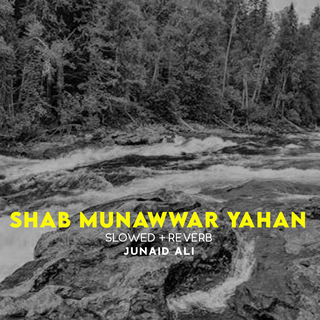 Shab Munawwar Yahan Lofi