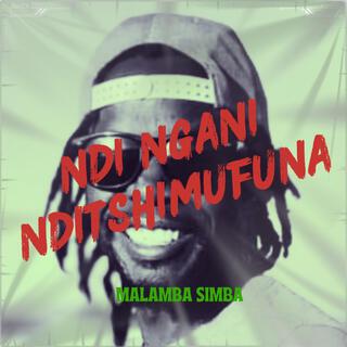 Ndingani ndi tshimufuna