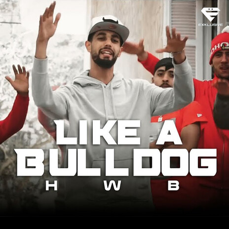 Like a Bulldog | Boomplay Music