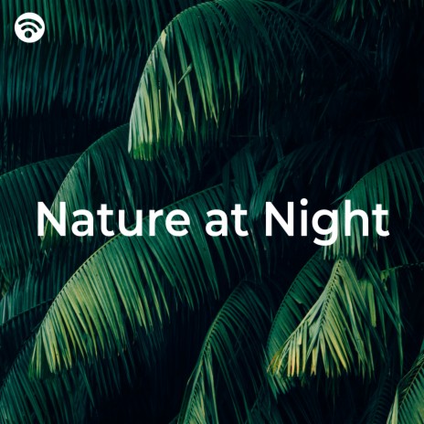 Restful Harmony of Nighttime Nature ft. Nature Sounds XLE Library & Natural White Noise Relaxation | Boomplay Music