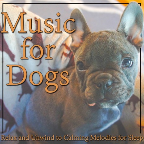 Genius Pup ft. Dog Sleep Dreams & Dog Relaxing Zone | Boomplay Music